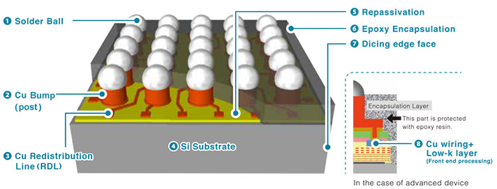 Structure and Features